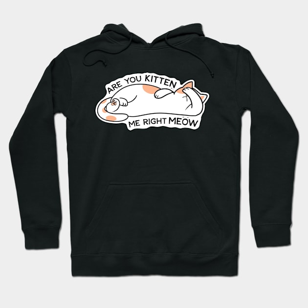 Are you kitten me right meow Hoodie by KadyIllustrates